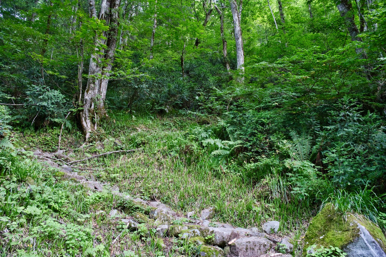 笠新道の取りつき