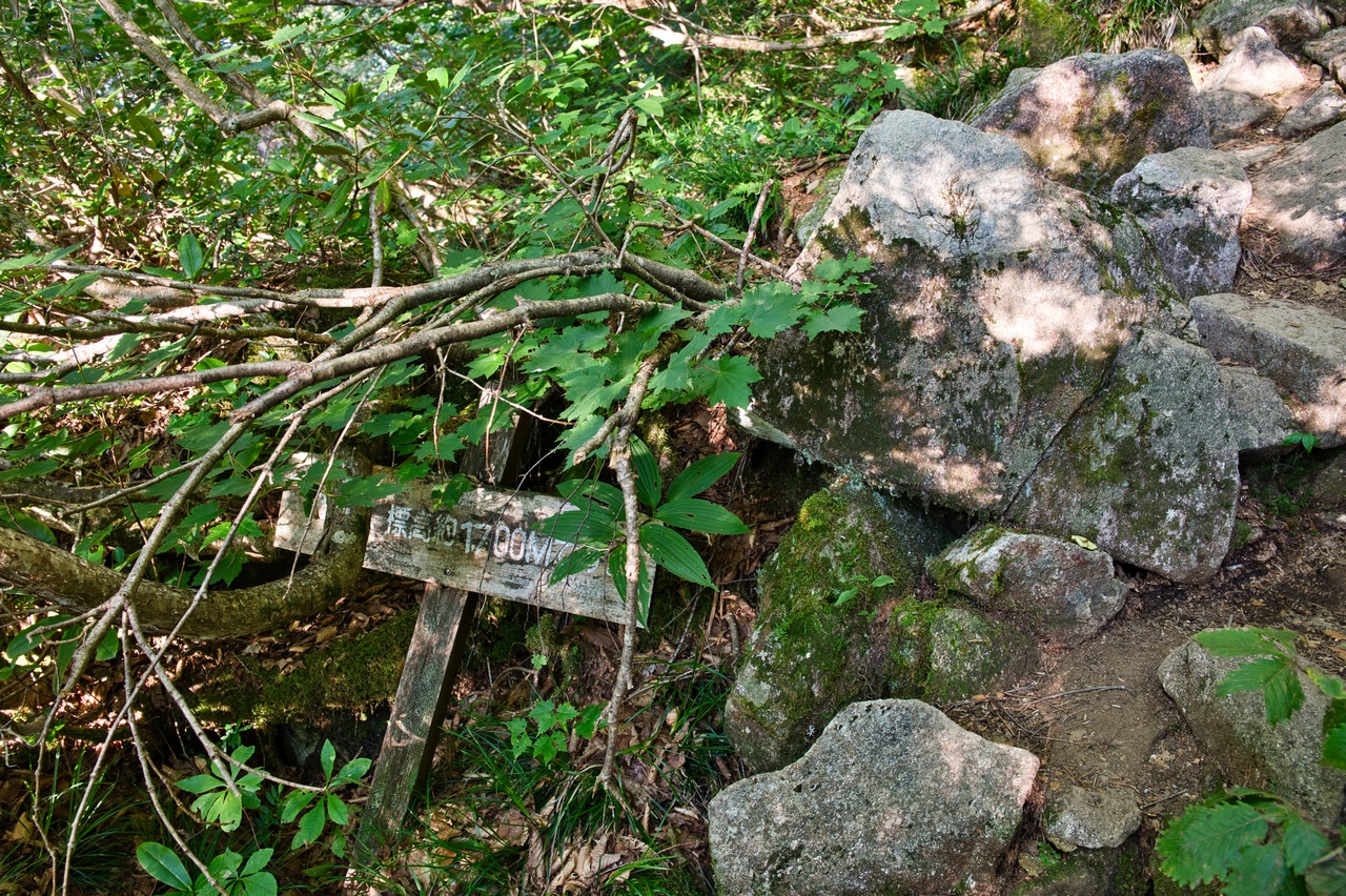 笠新道の標高1,700メートル地点