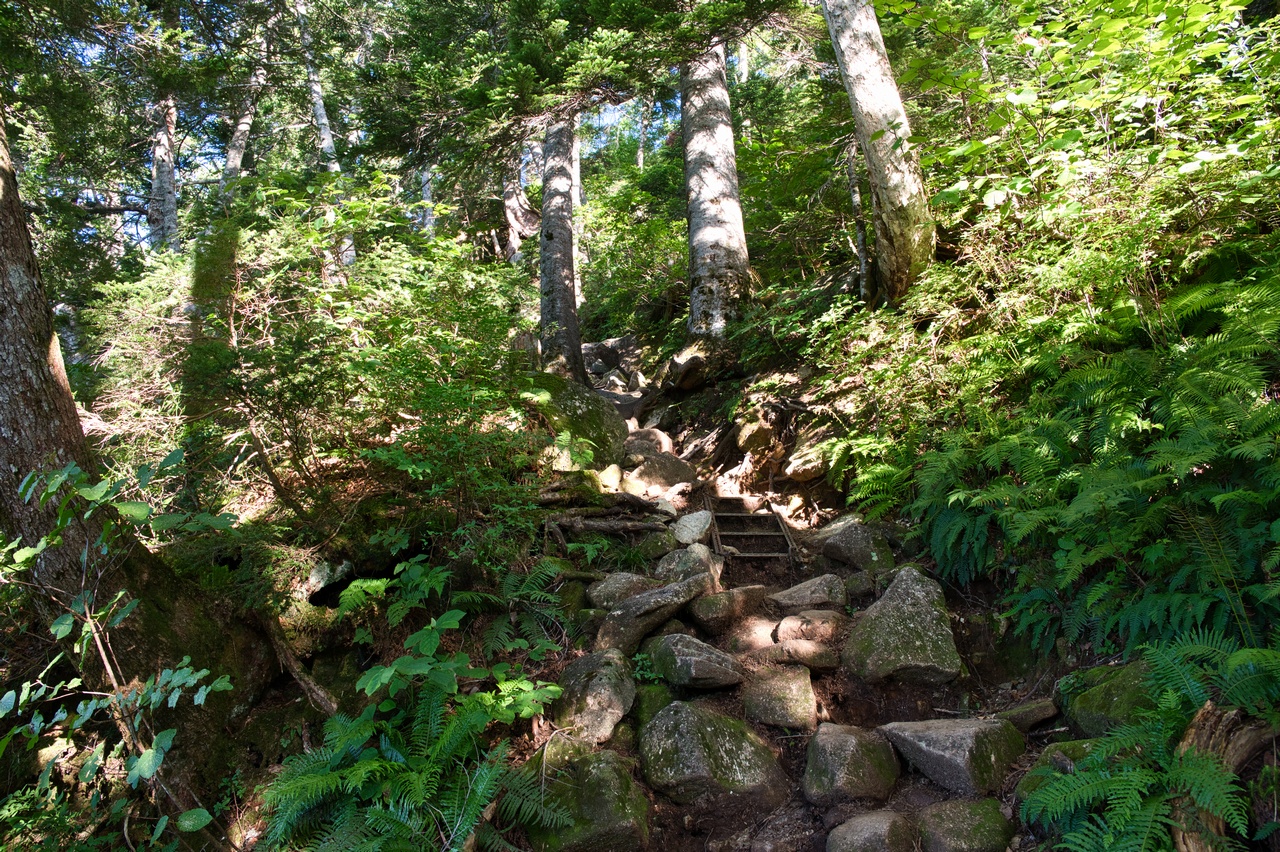 笠新道の道中の様子