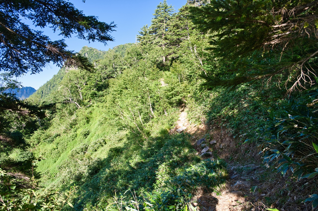 笠新道の道中の様子