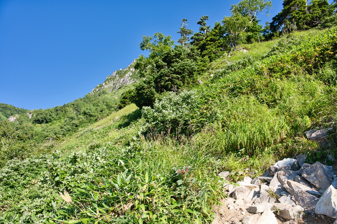笠新道の道中の様子