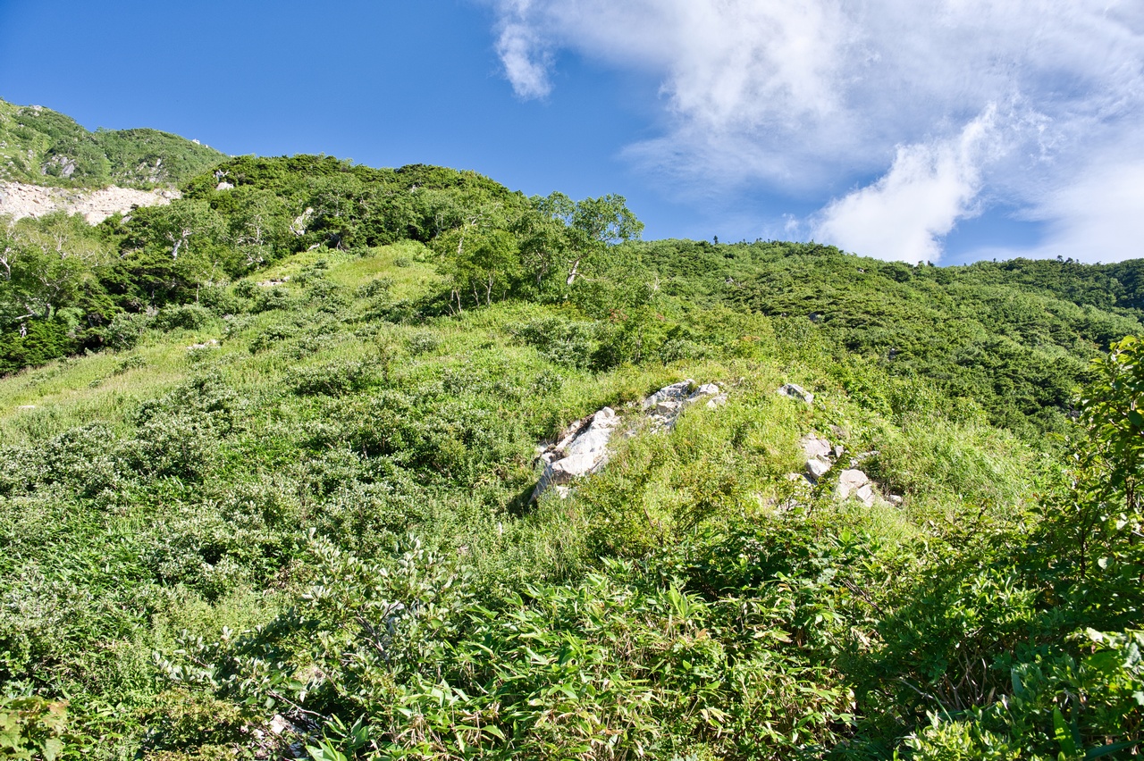 笠新道の道中の様子