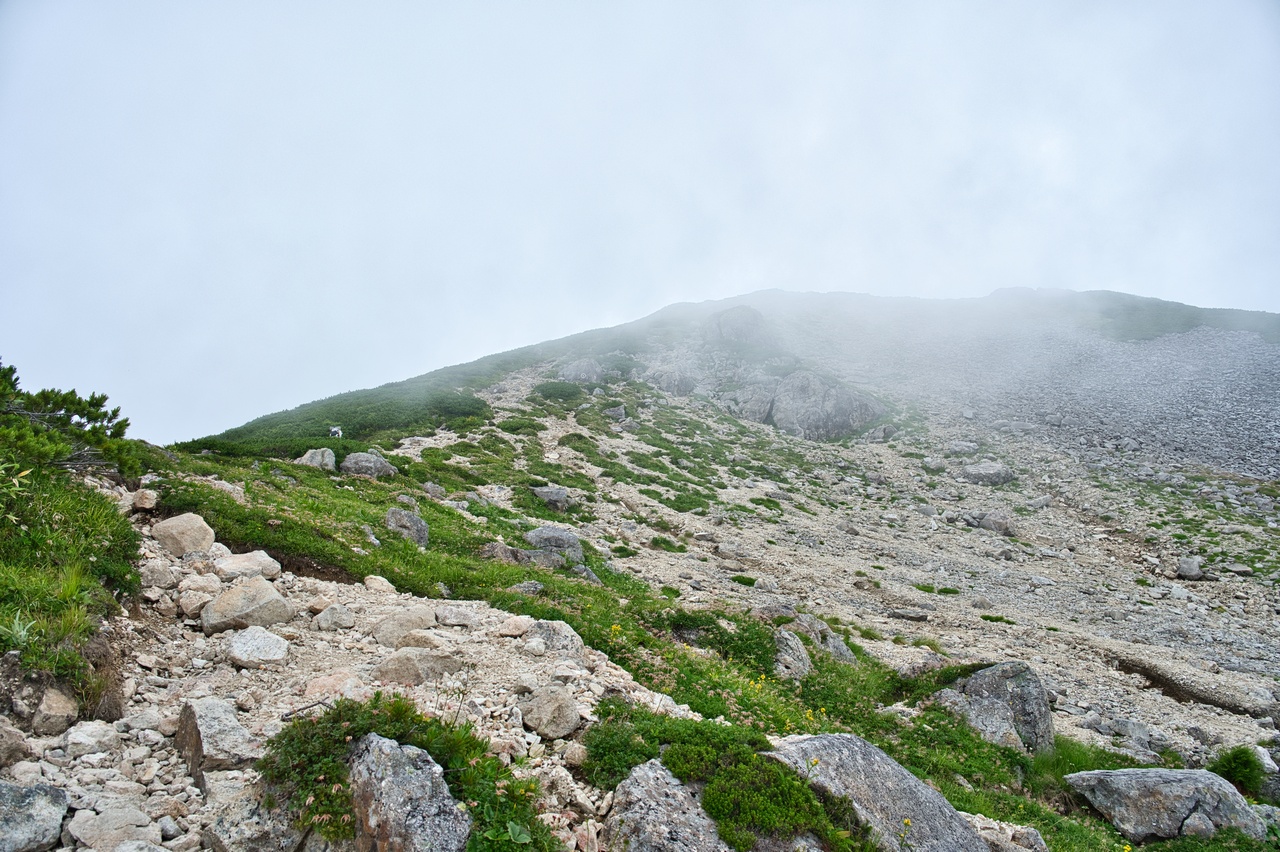 250819笠ヶ岳-052