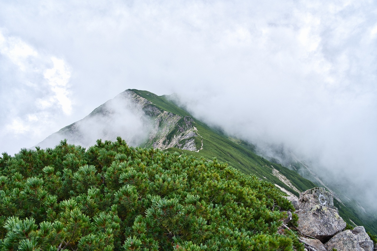 250819笠ヶ岳-054