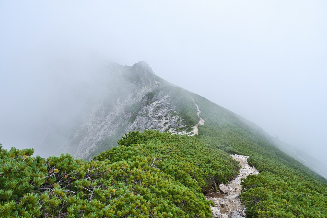 笠ヶ岳稜線上の登山道