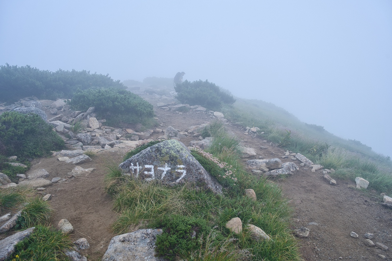 笠ヶ岳テント場のサヨナラと書かれた岩