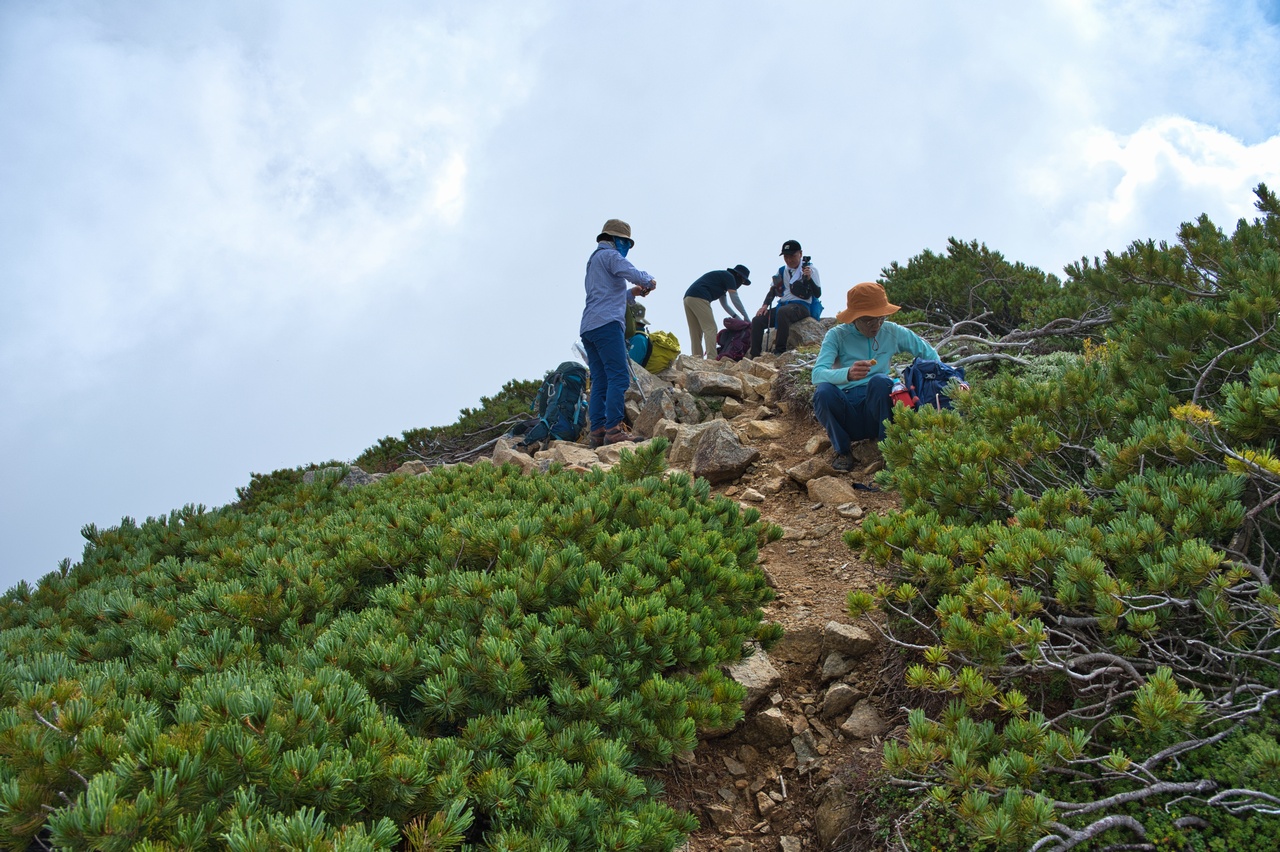 大ノマ岳の肩
