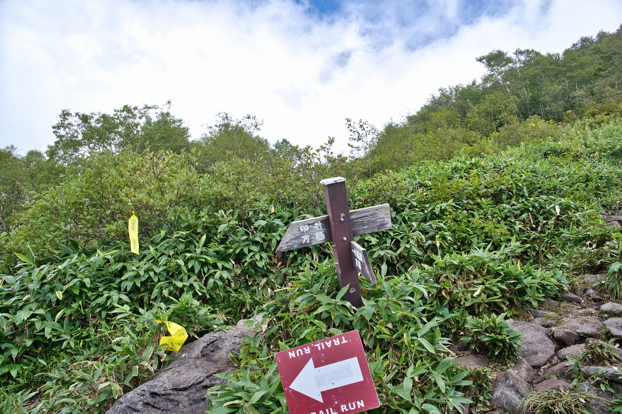 飯縄山 西登山道分岐