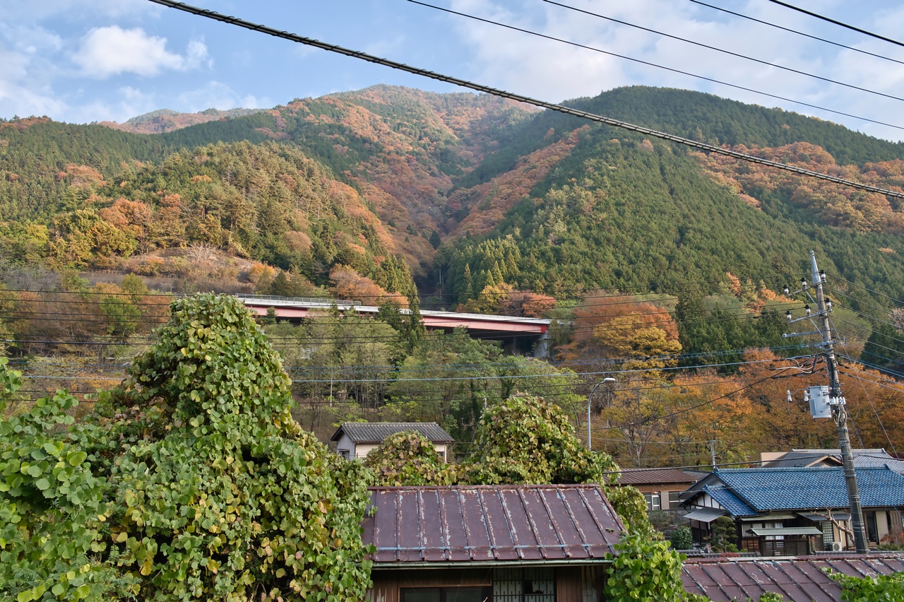 251116滝子山-006
