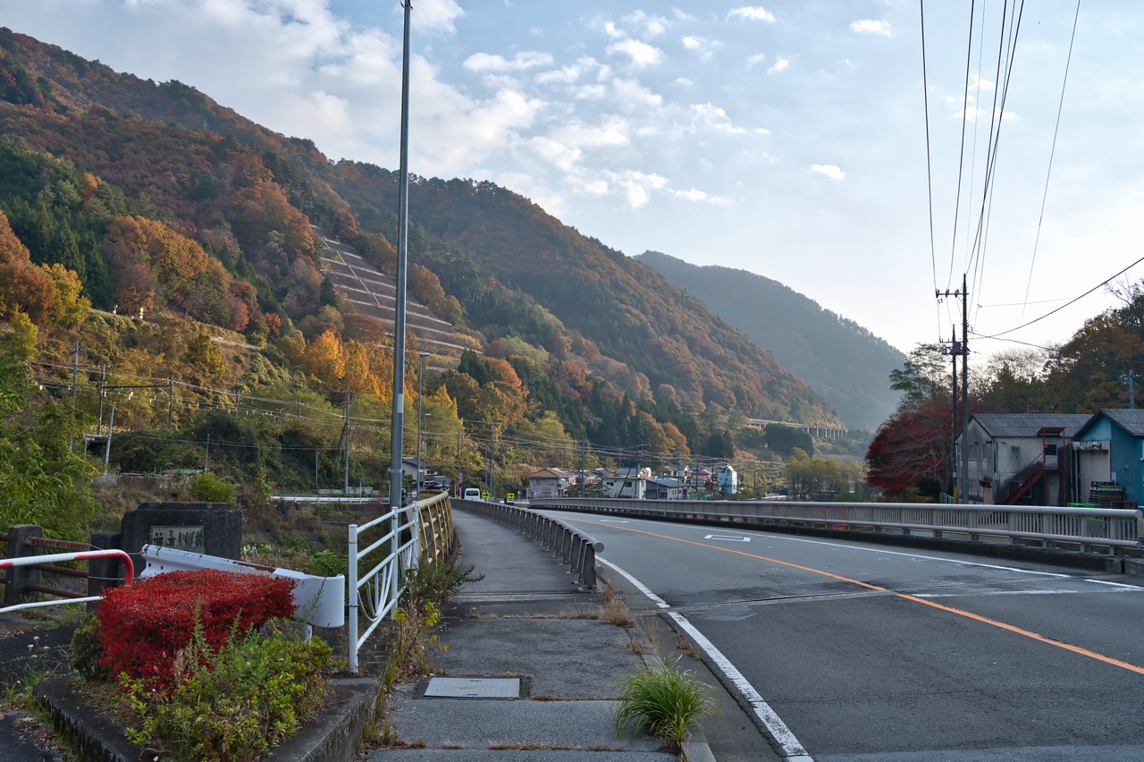 251116滝子山-009