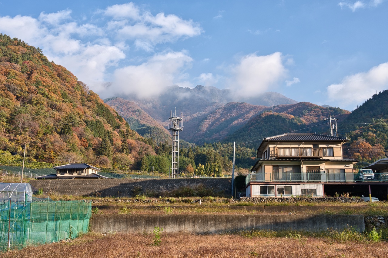 251116滝子山-013