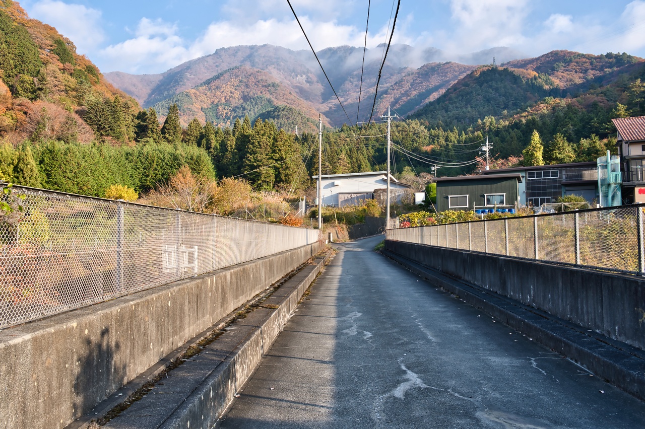 251116滝子山-014