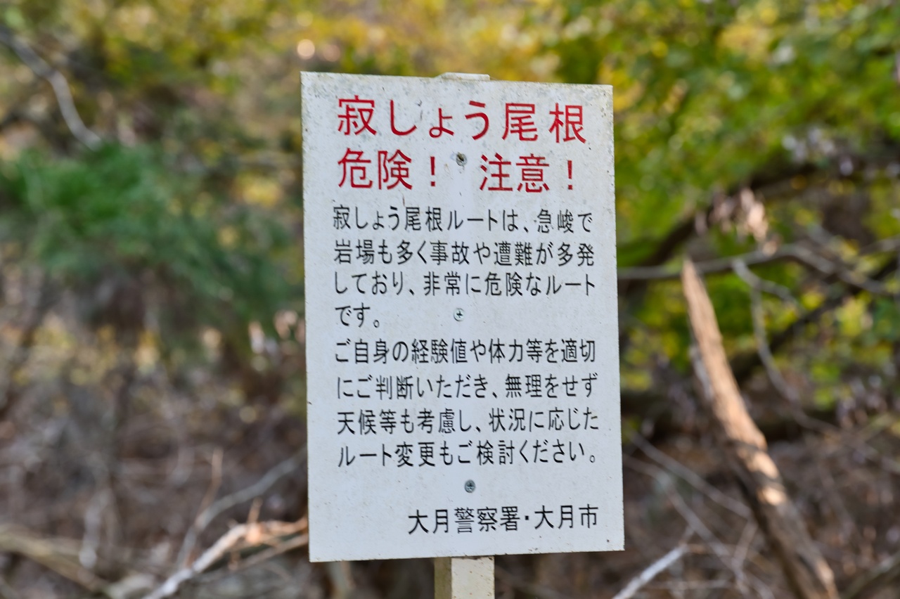 251116滝子山-019