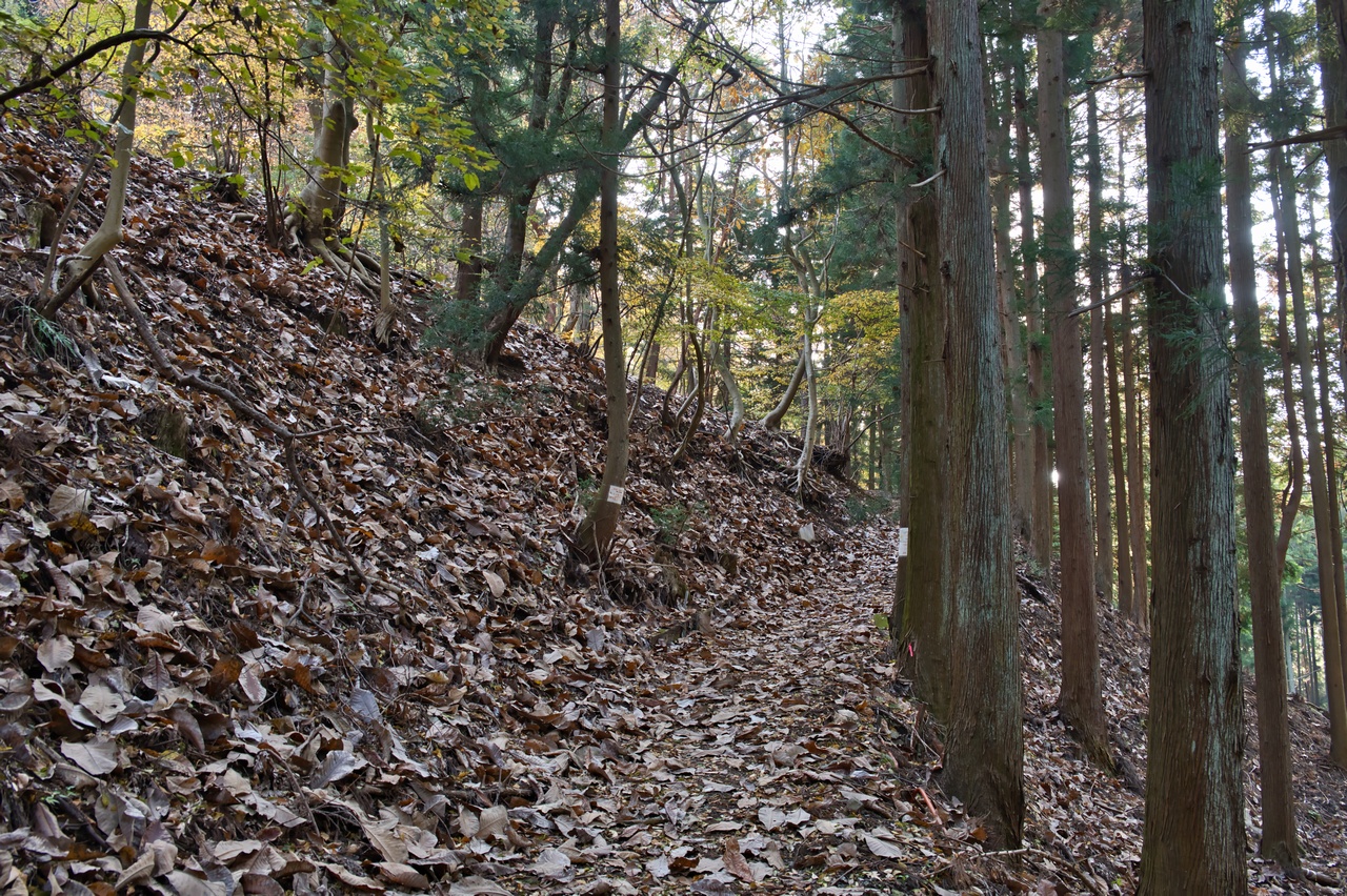 251116滝子山-020