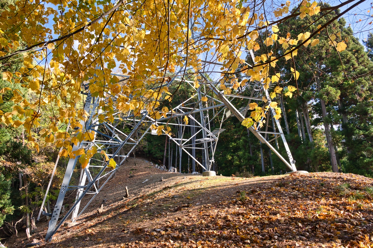 251116滝子山-025
