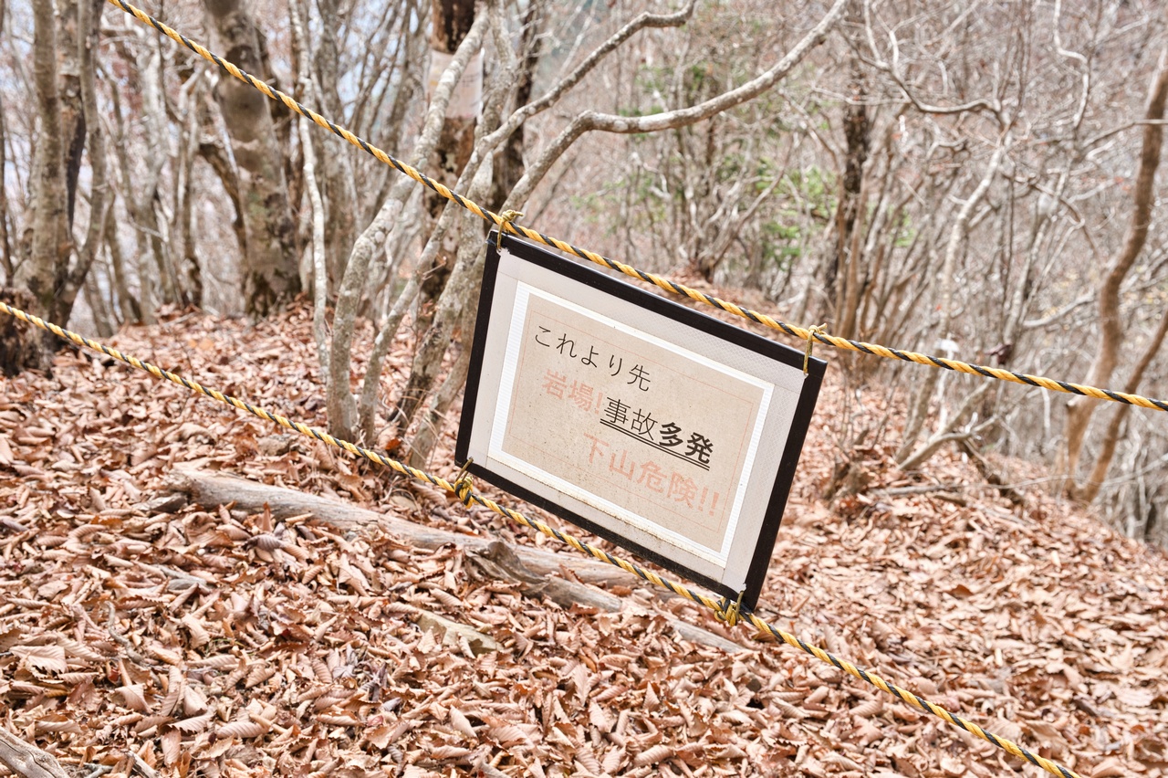 251116滝子山-050