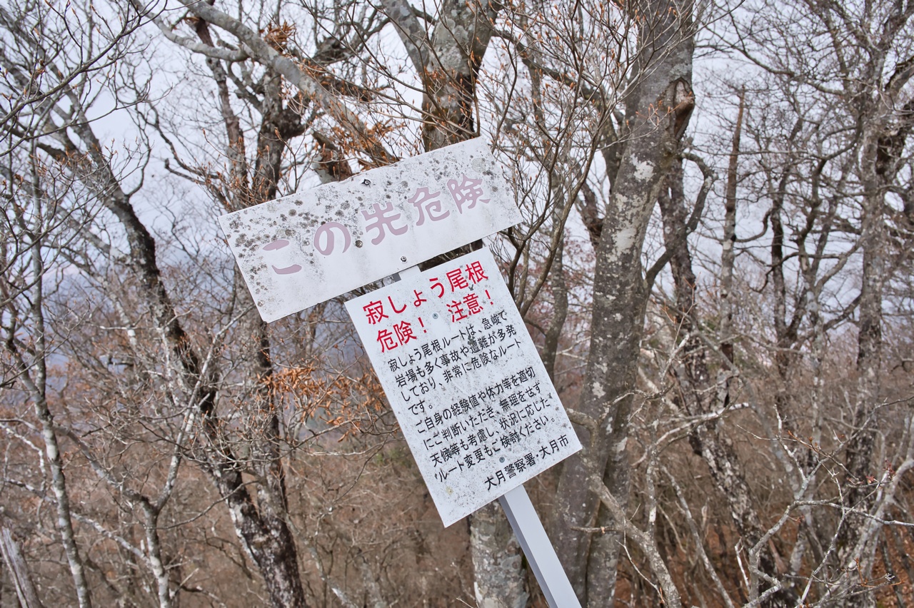 251116滝子山-057