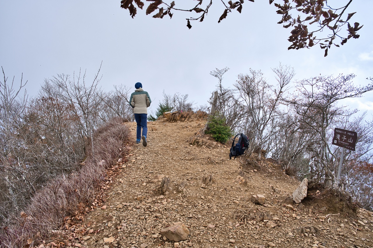 滝子山の山頂