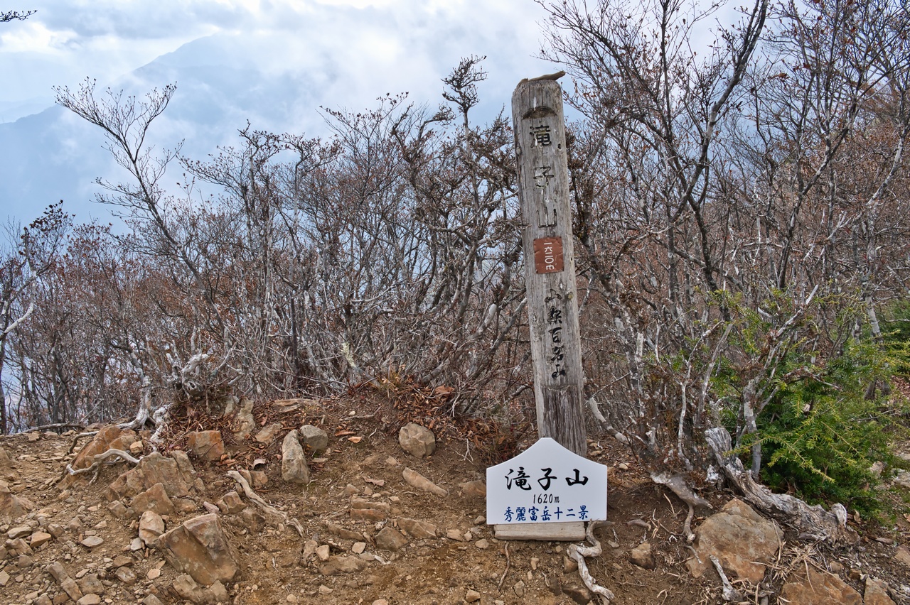 251116滝子山-060