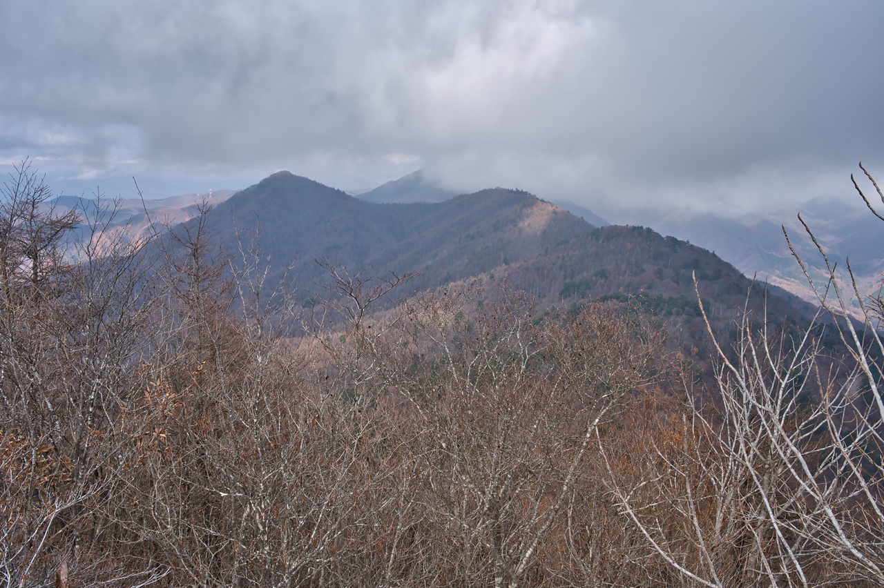 251116滝子山-061