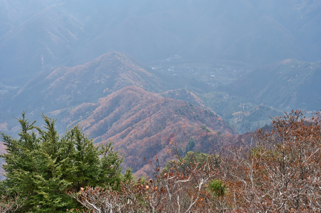 251116滝子山-062