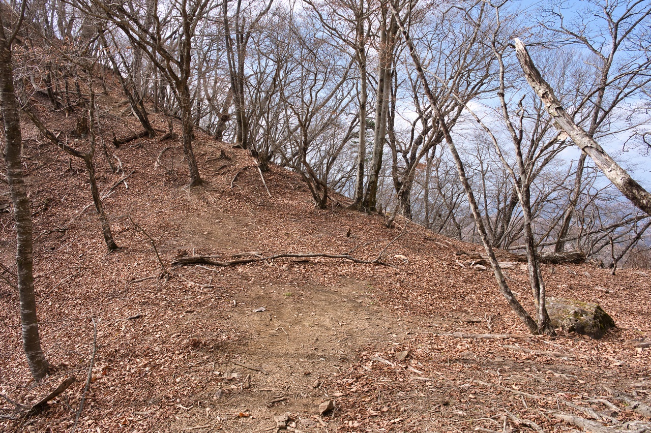 251116滝子山-064