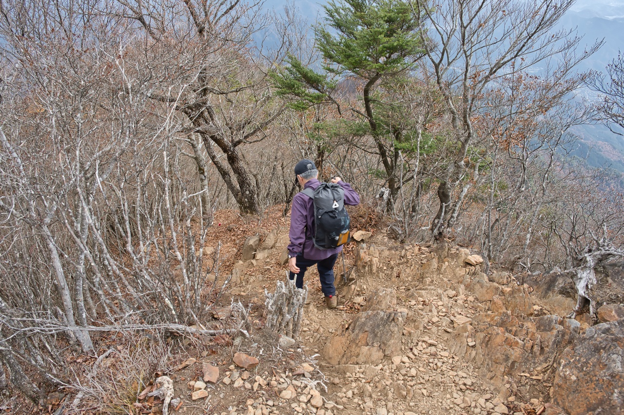 251116滝子山-065