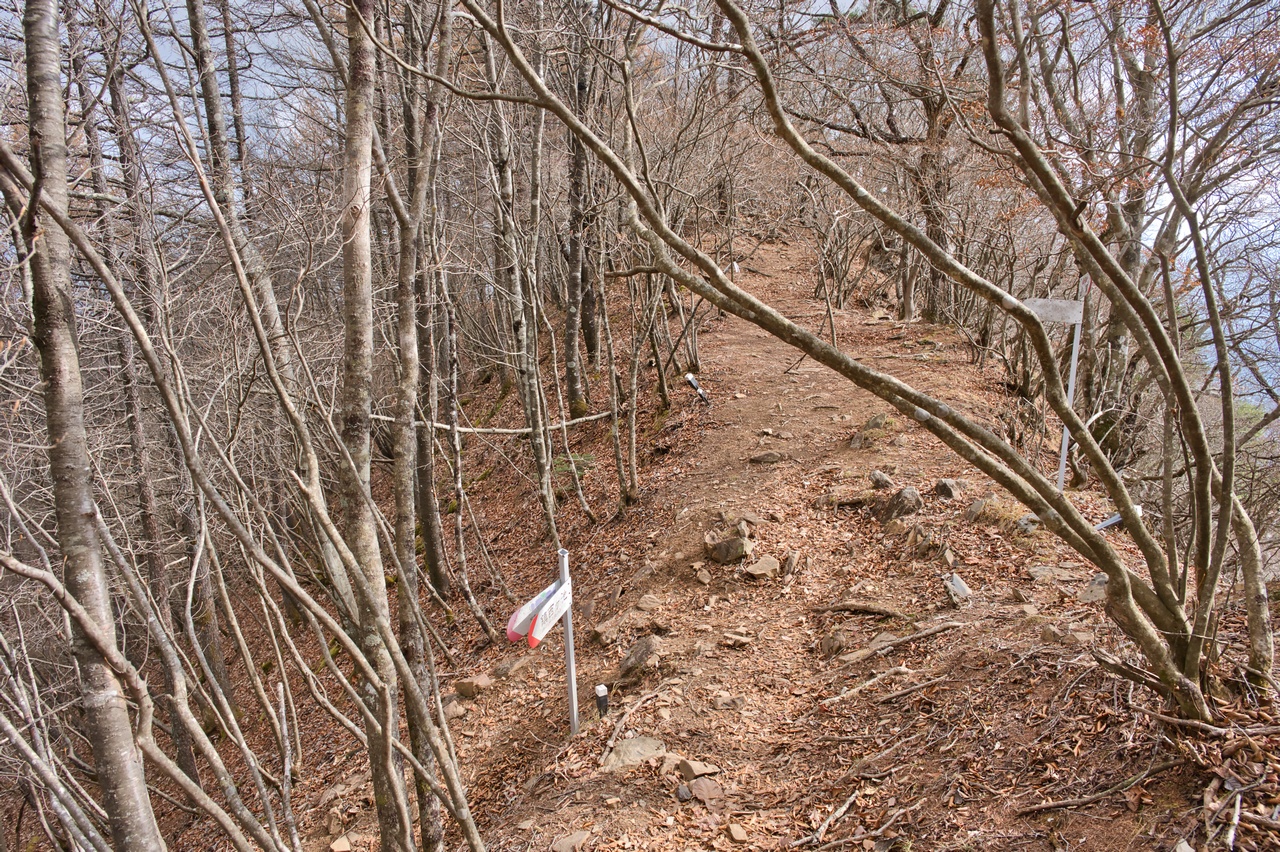 251116滝子山-066