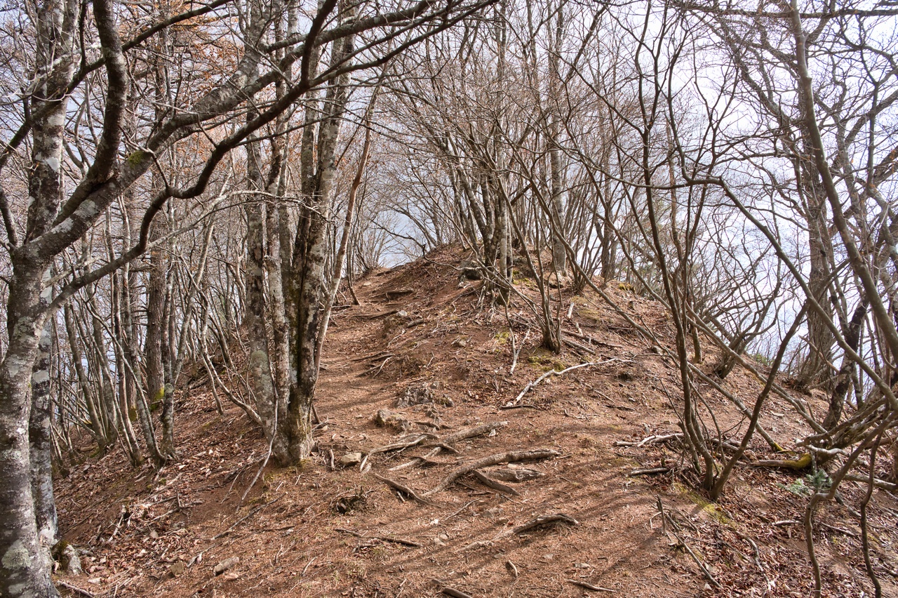 251116滝子山-067