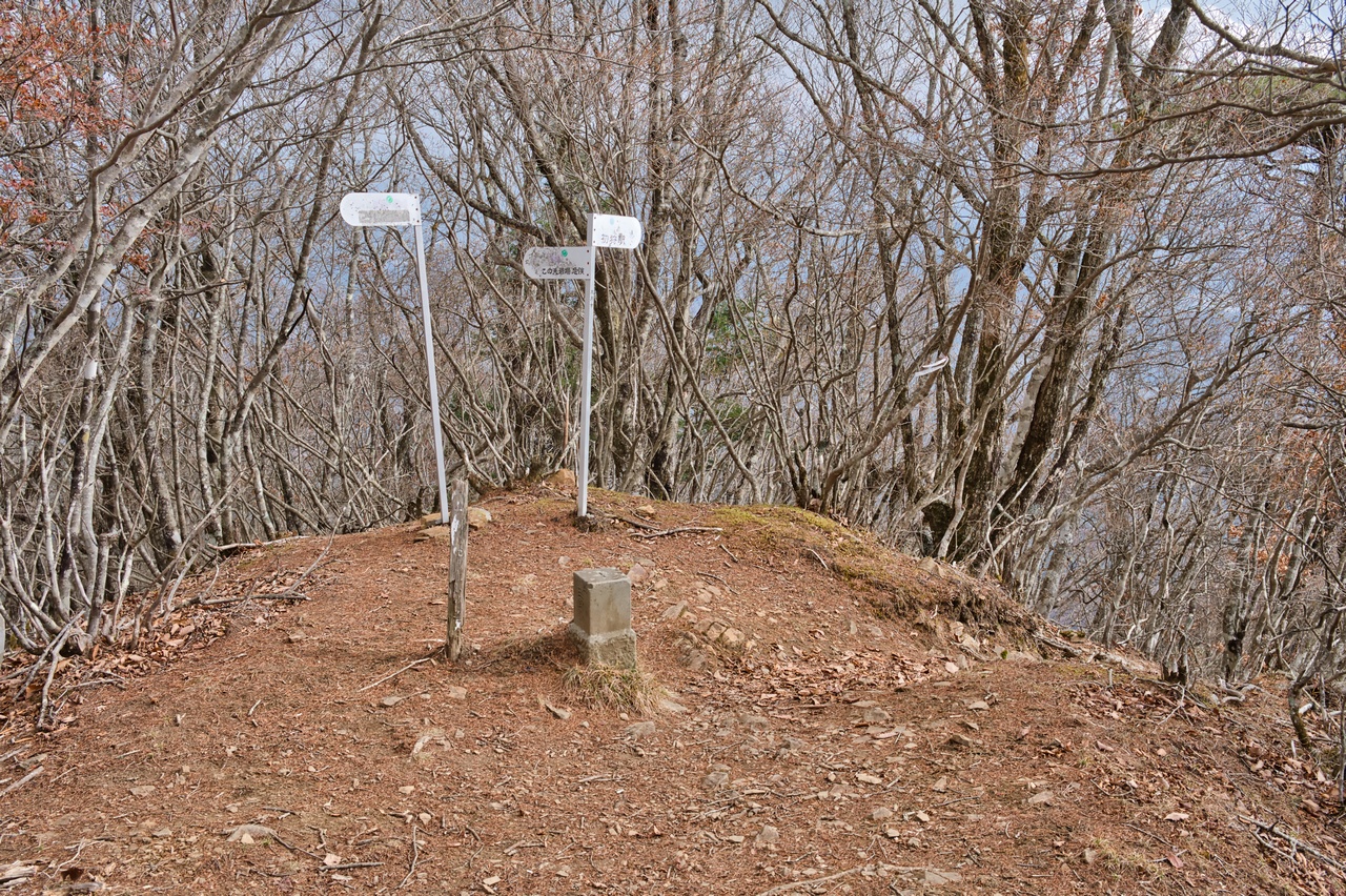 滝子山の三角点