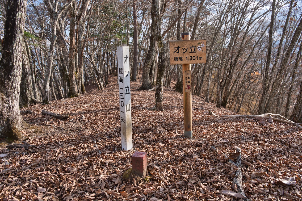 オッ立の山頂