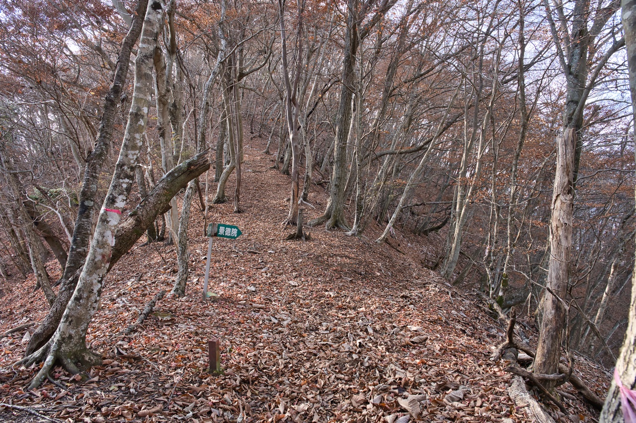 251116滝子山-089
