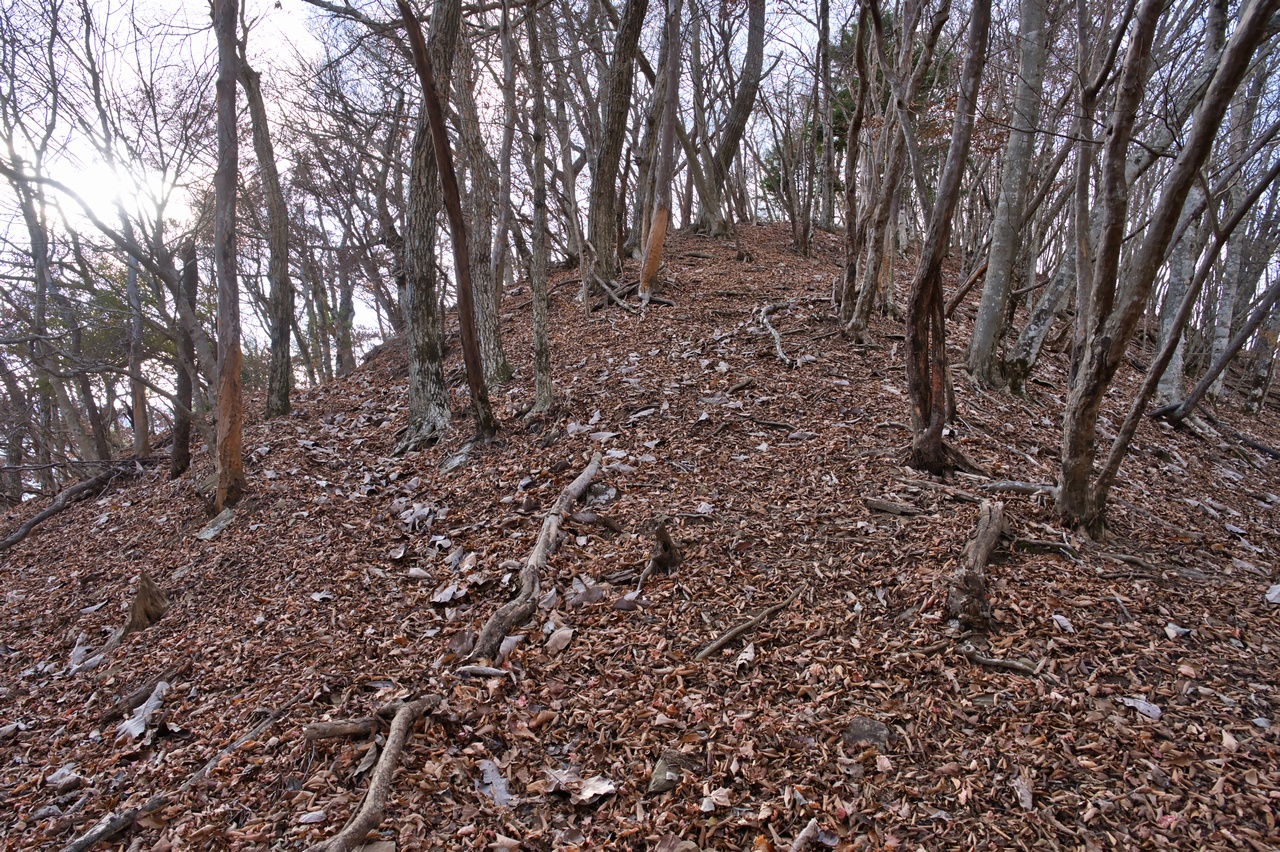 251116滝子山-090