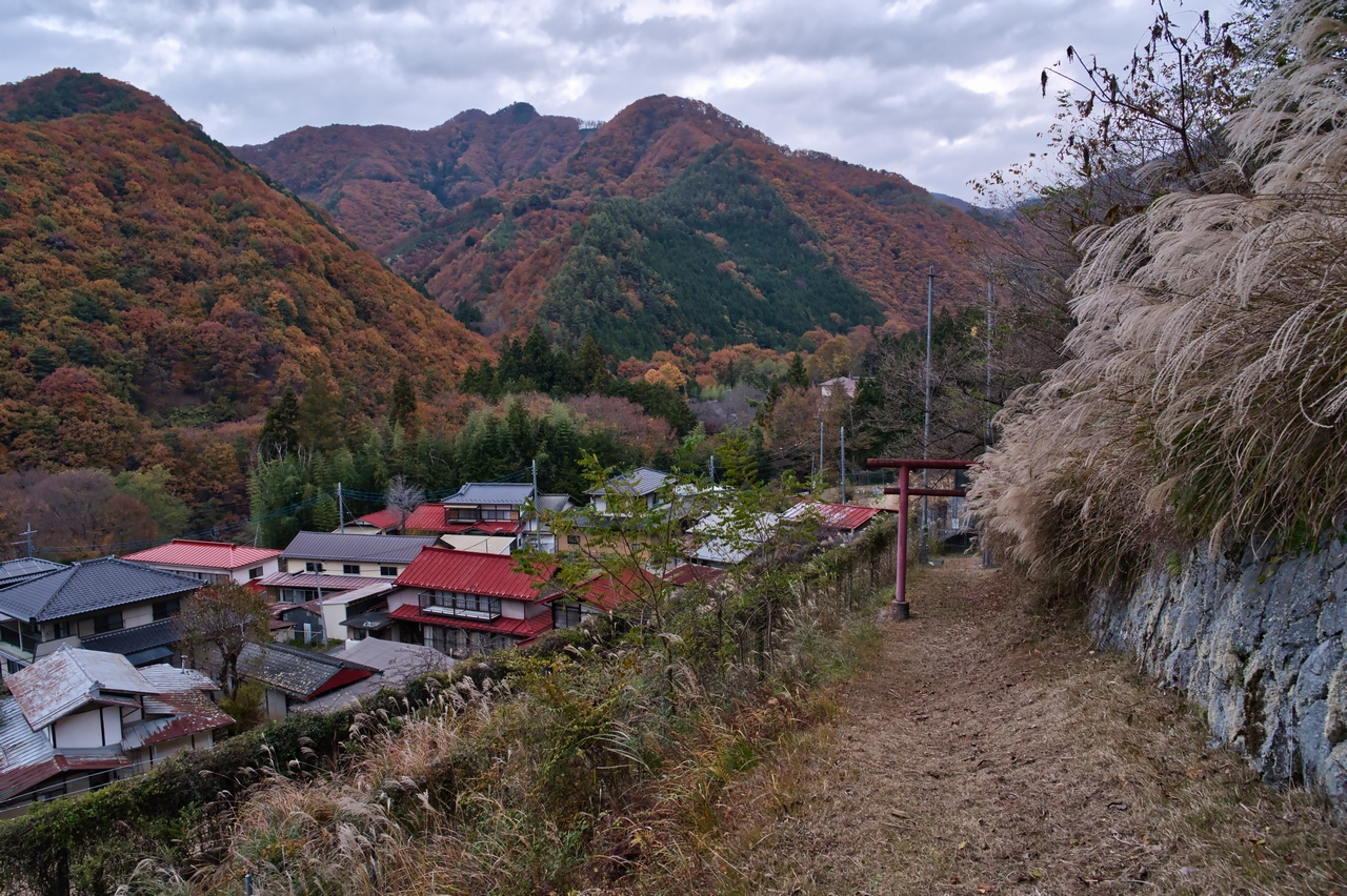 251116滝子山-108