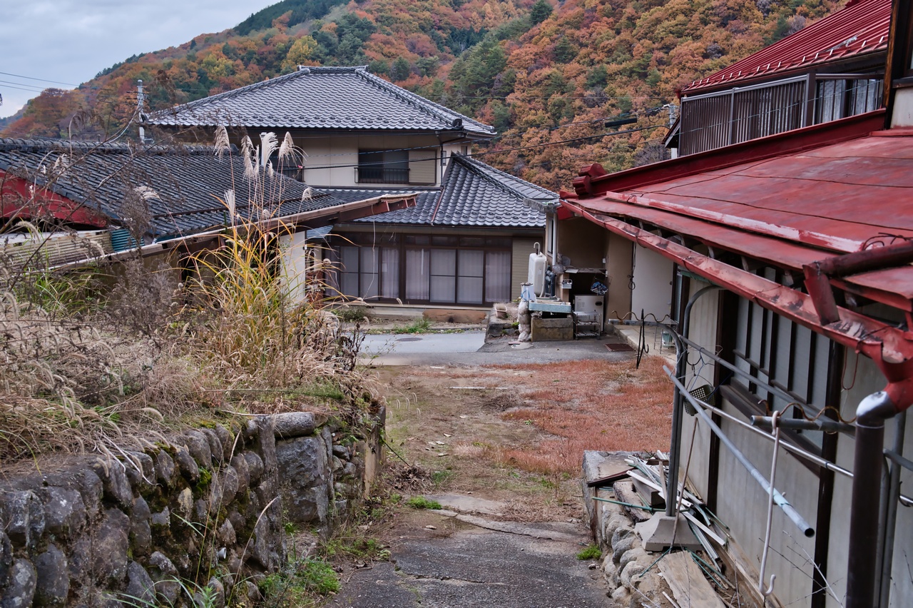 251116滝子山-109