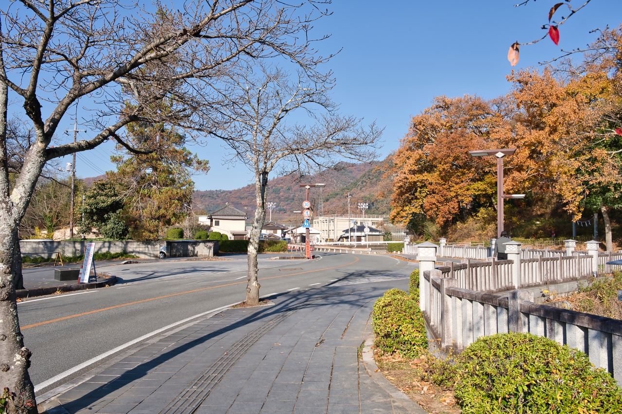 251130興因寺山-018
