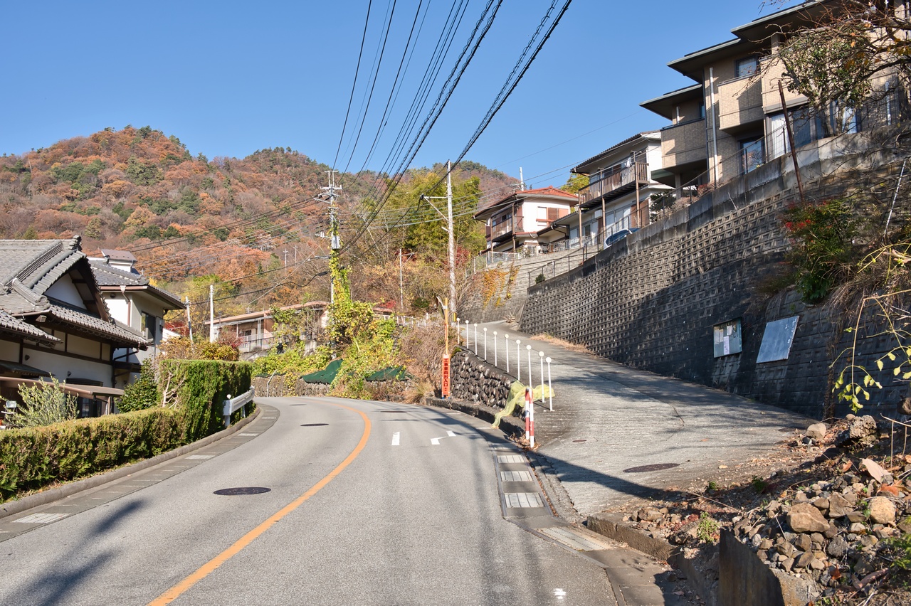 251130興因寺山-024