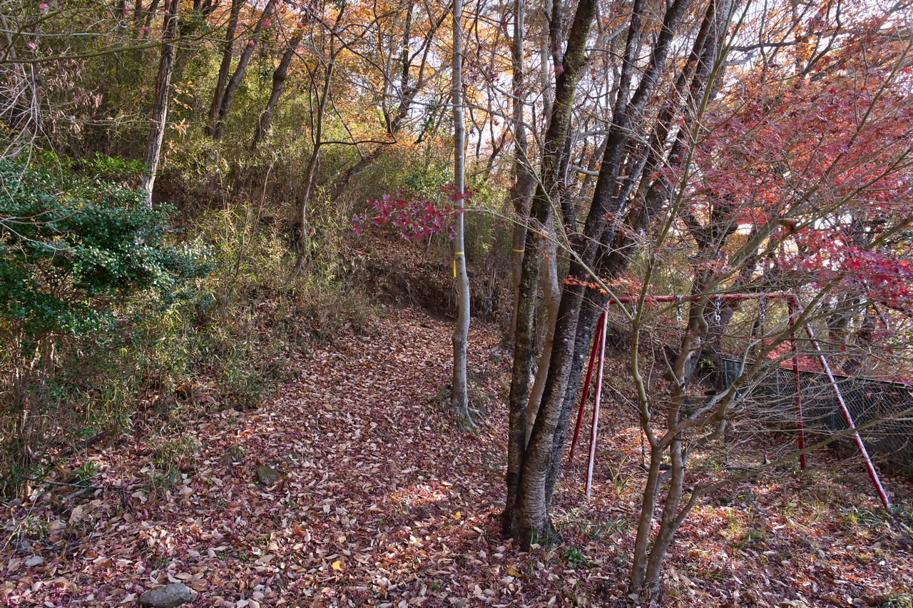 251130興因寺山-025