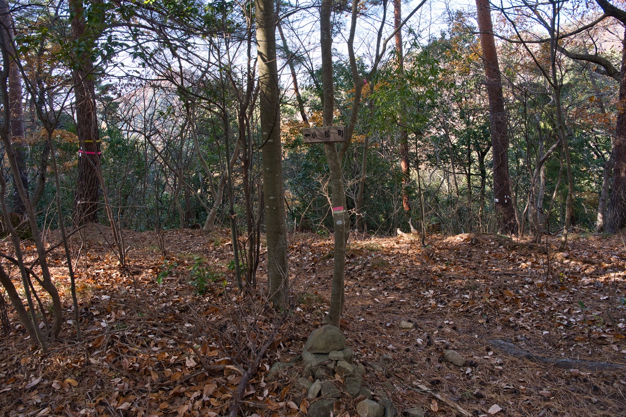 251130興因寺山-037