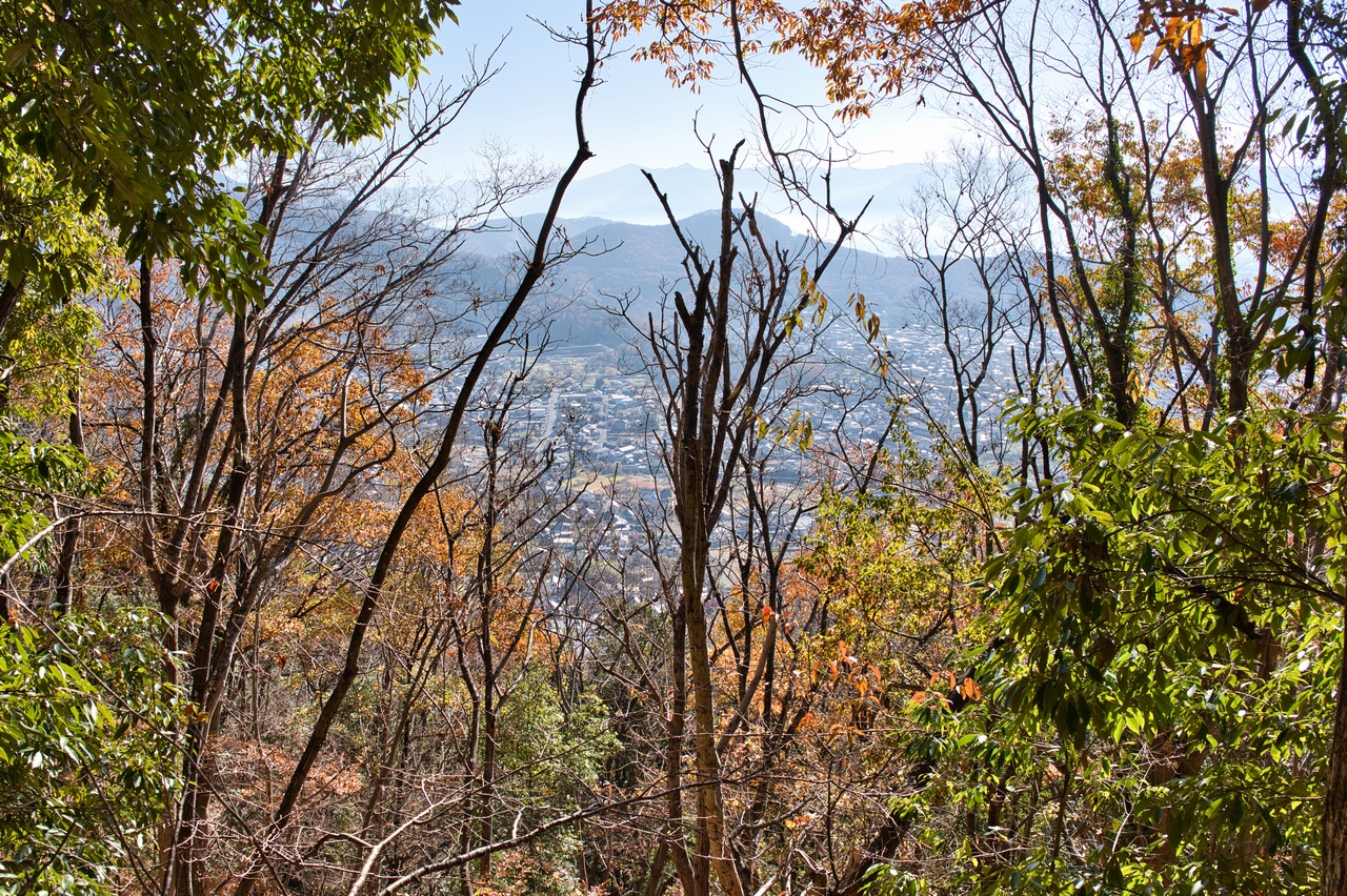 251130興因寺山-043
