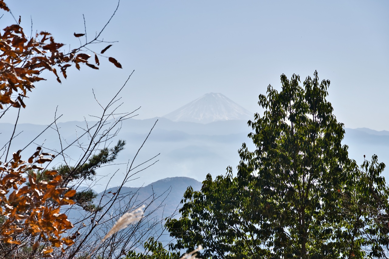 251130興因寺山-050