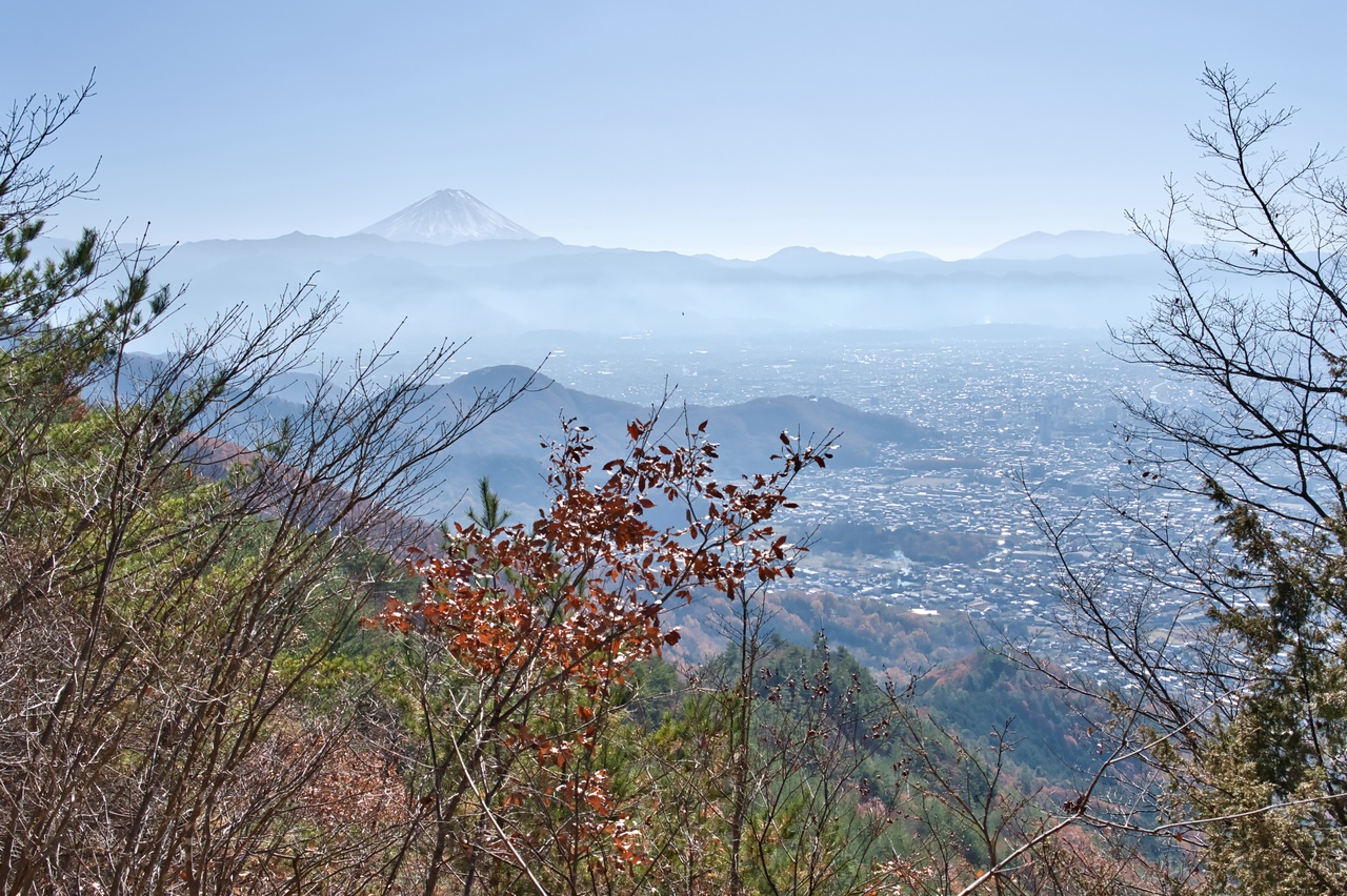 251130興因寺山-056