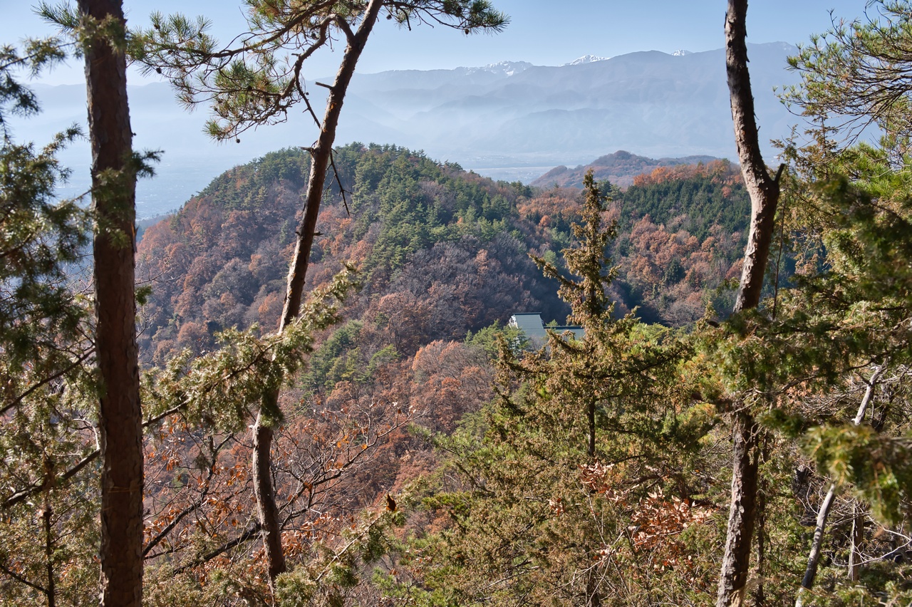 251130興因寺山-064