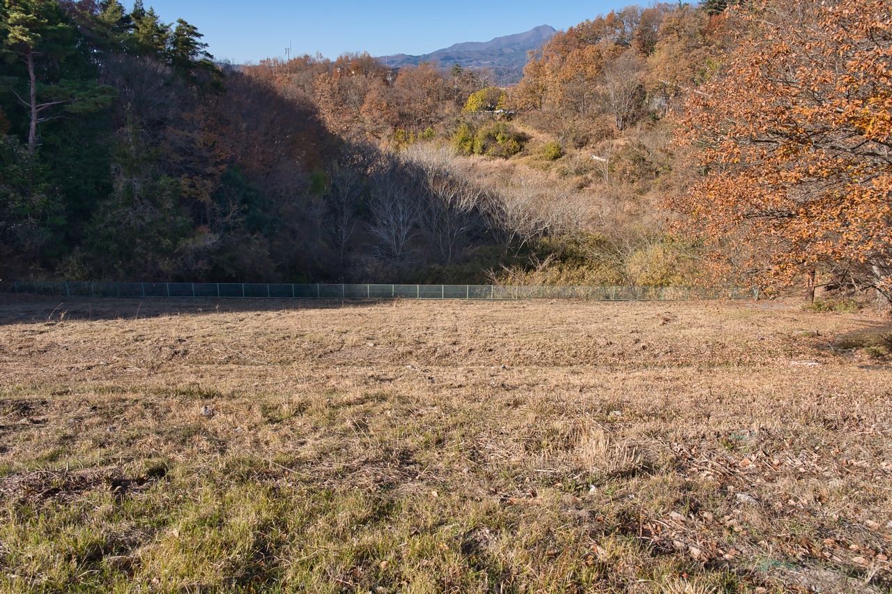 251130興因寺山-074