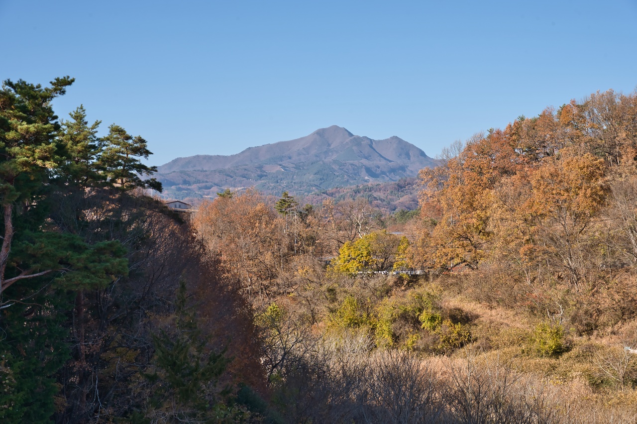 251130興因寺山-076