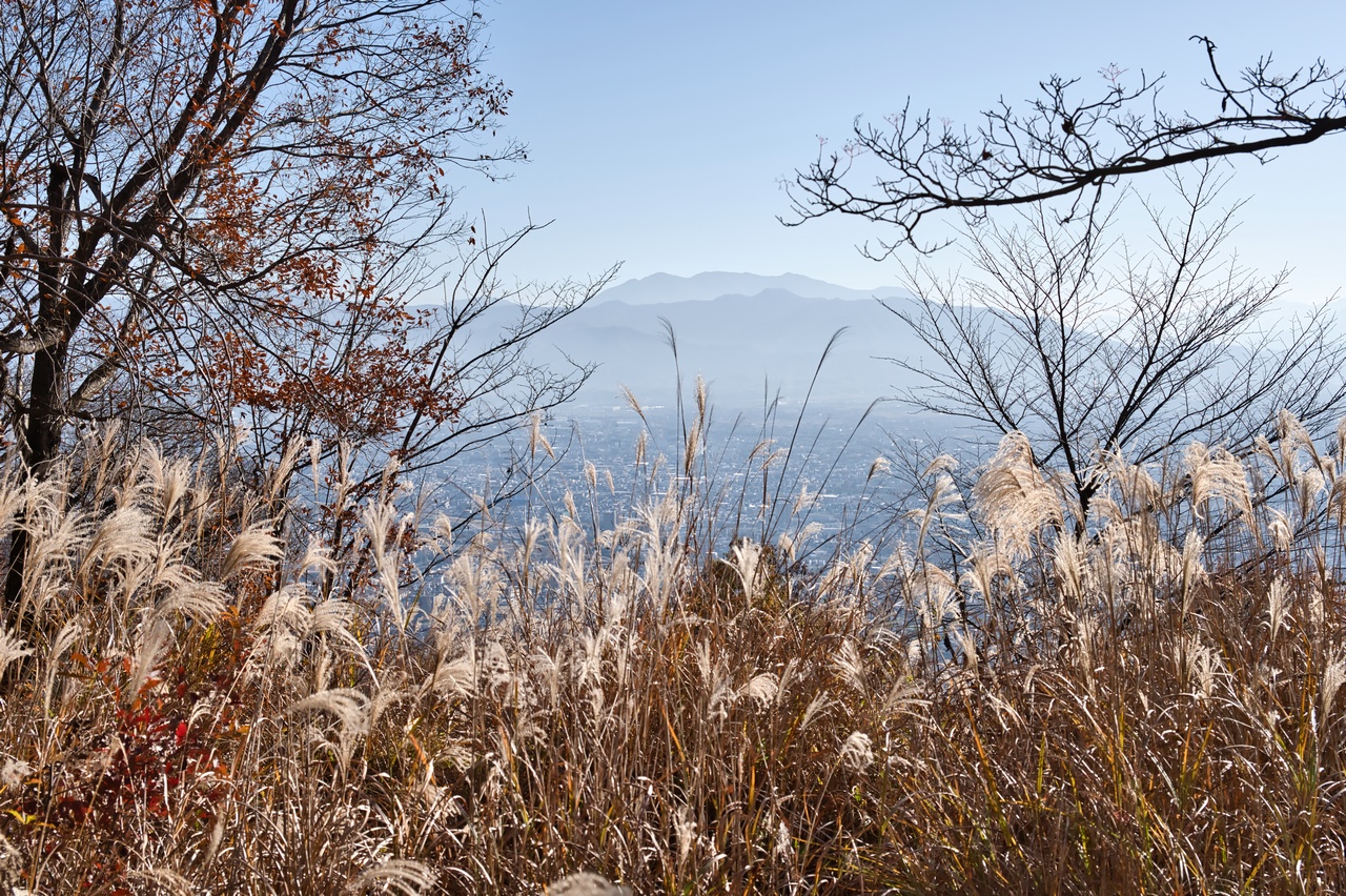 片山山頂からの展望