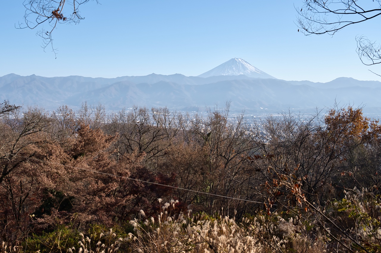 251130興因寺山-085