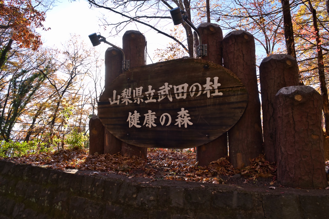 251130興因寺山-087