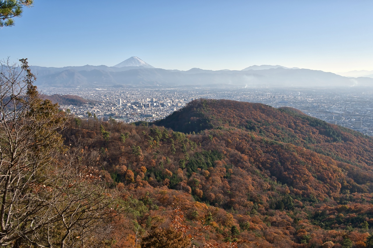 八王子山からの展望