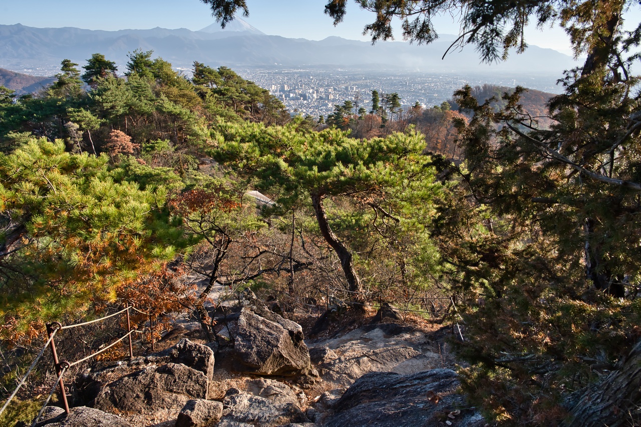 251130興因寺山-102